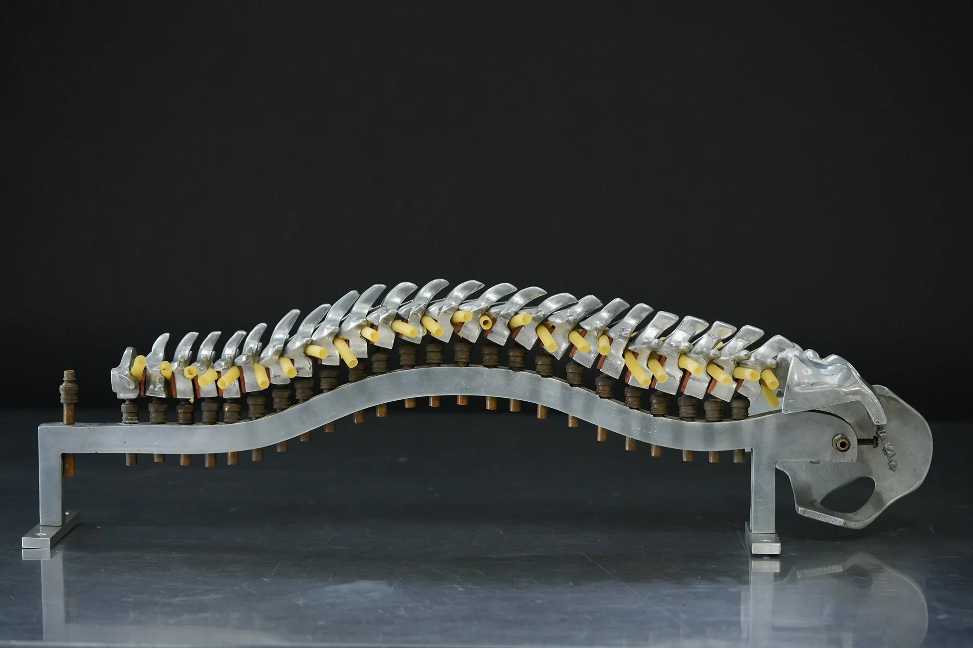 fleet spine 06.jpg