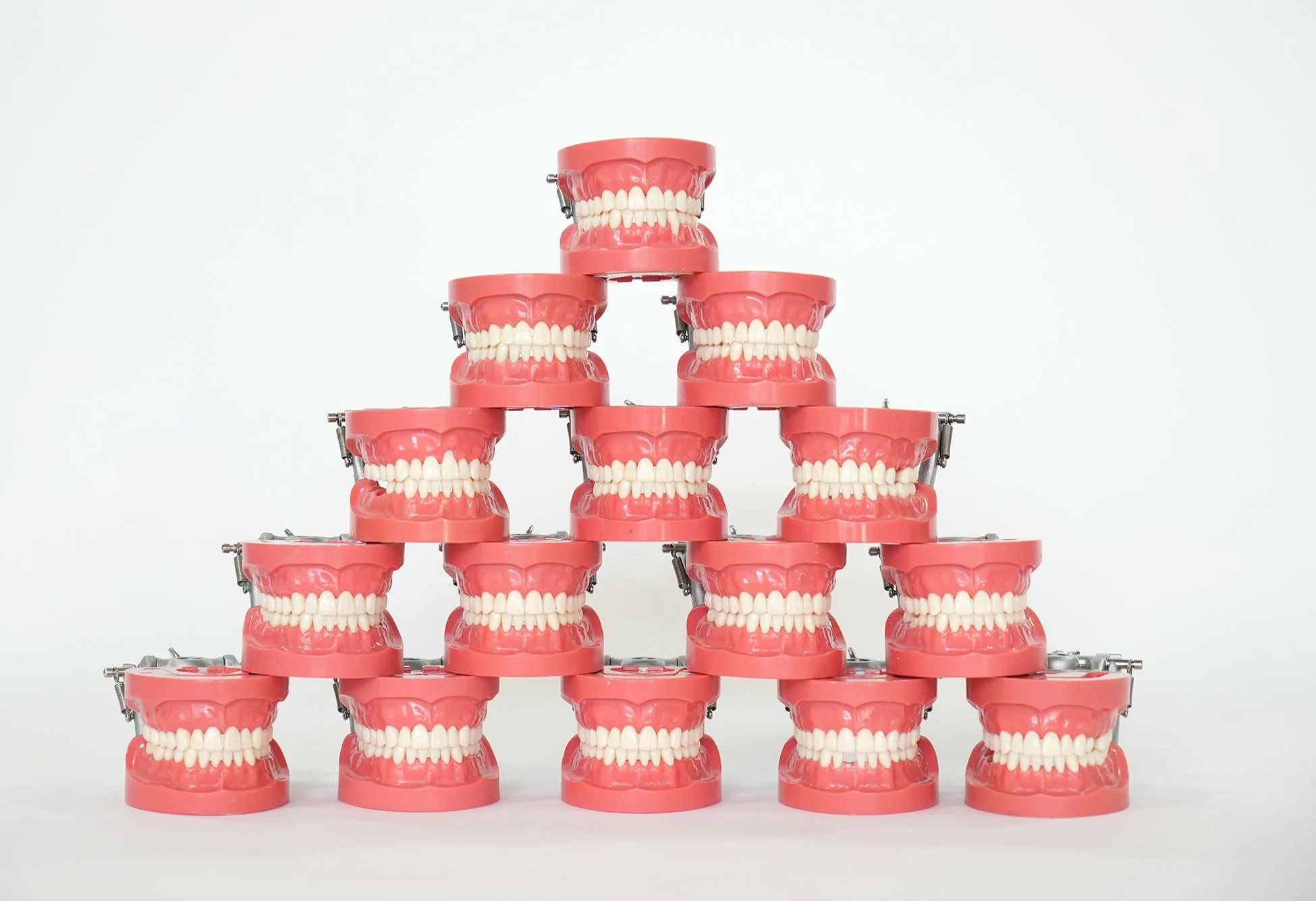 nissin typodont 01.jpg