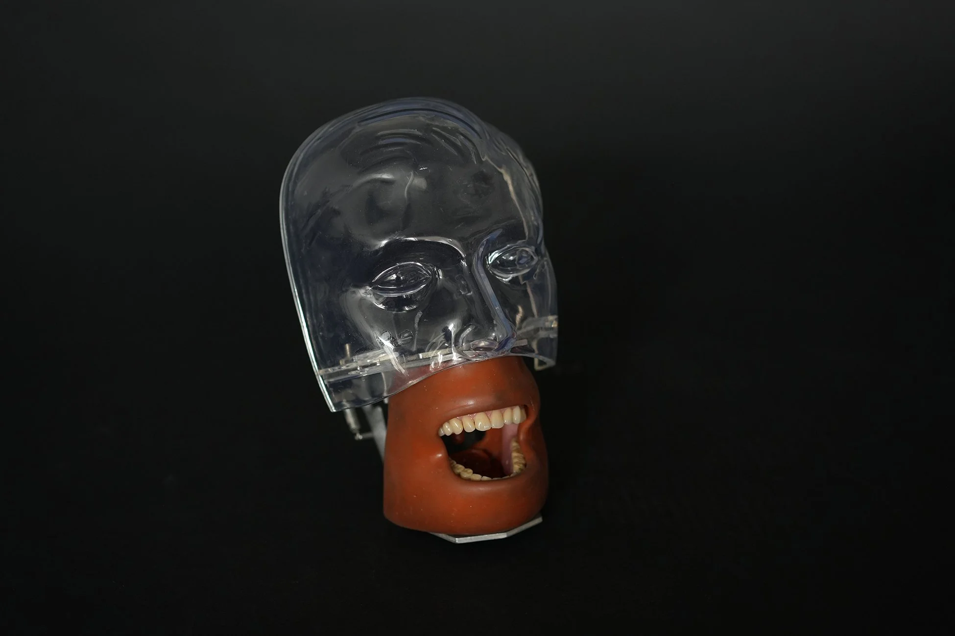 kilgor phantom 05.jpg