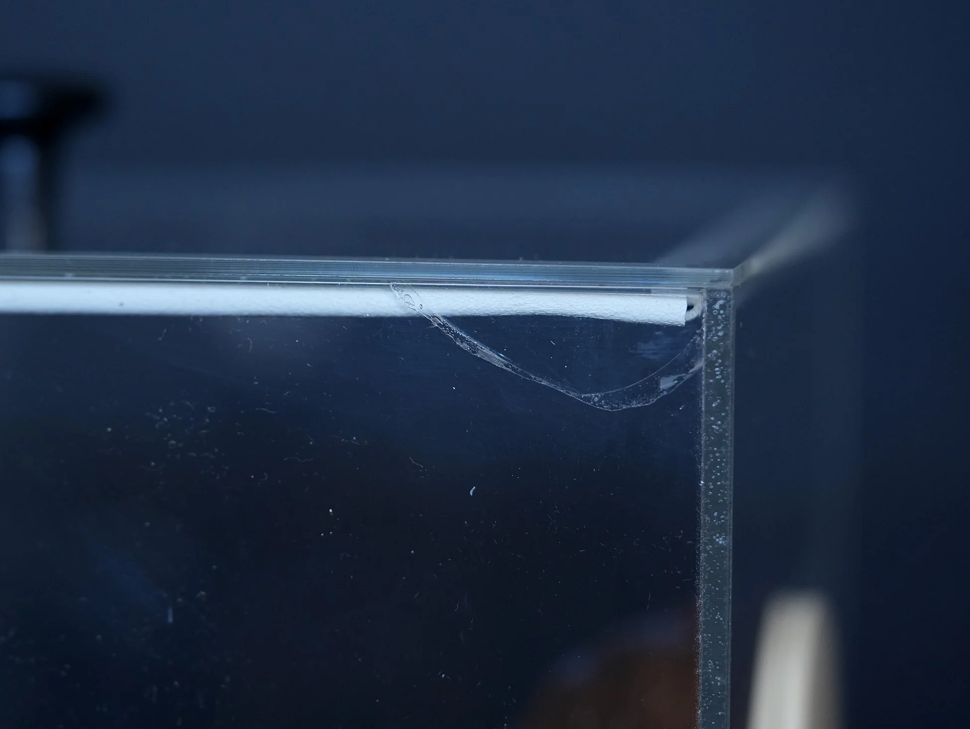 smoking demonstrator 06.jpg