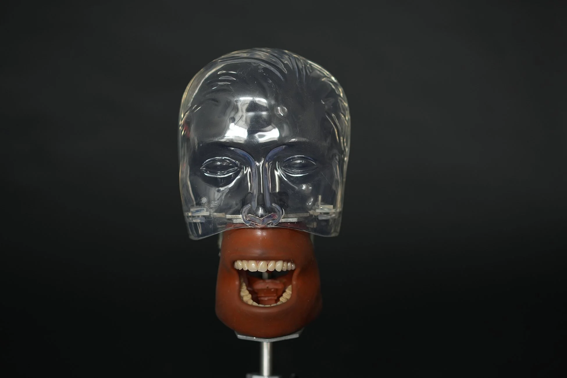 kilgor phantom 03.jpg