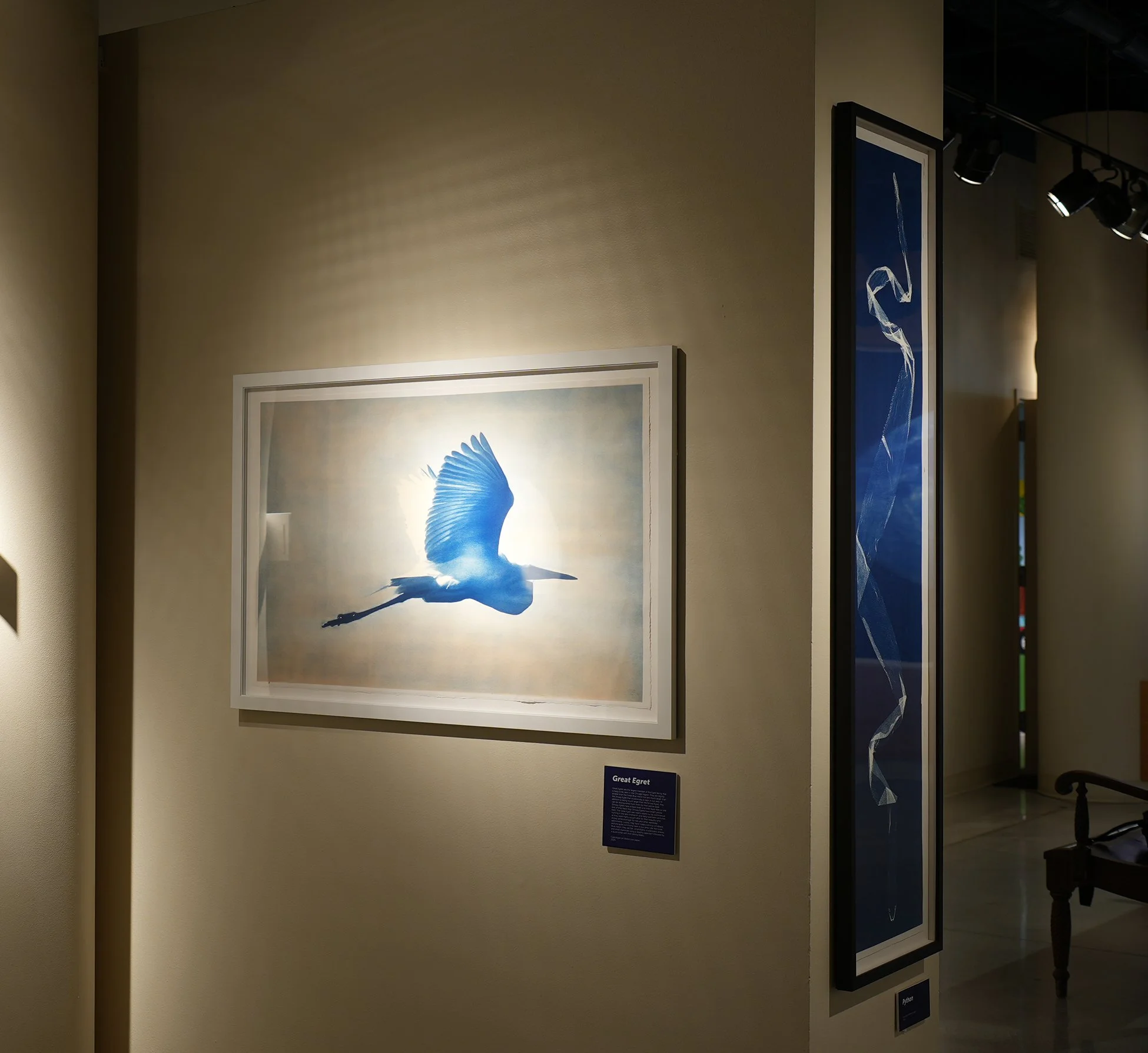 nature museum post 09.jpg