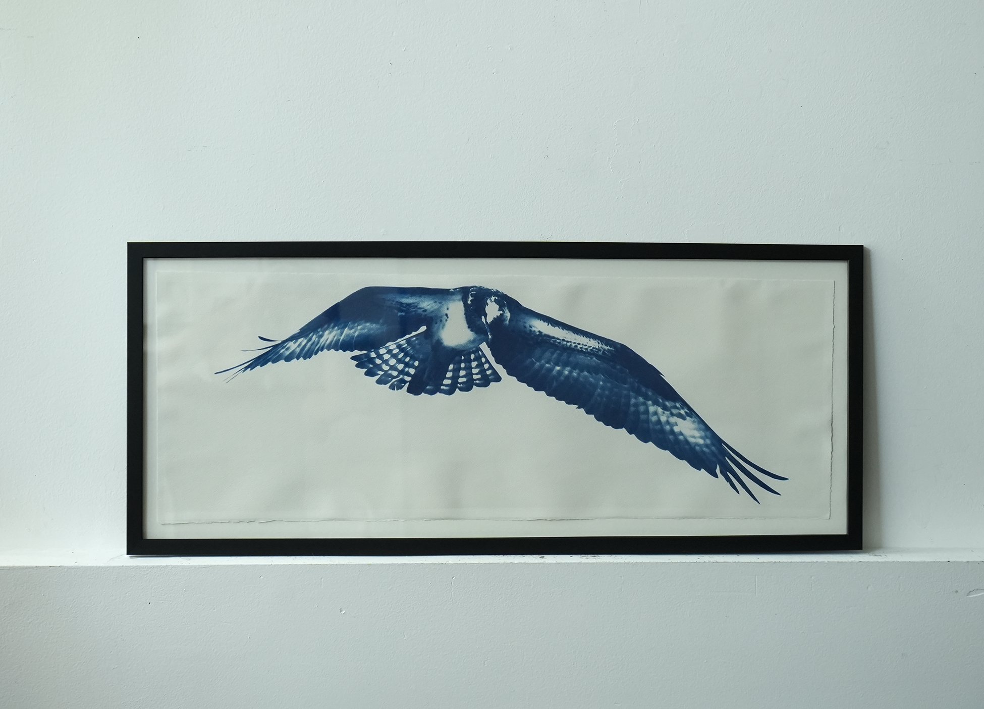 osprey flight 01.jpg