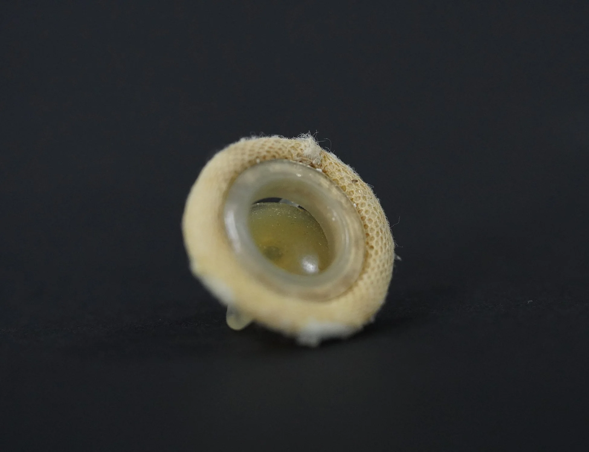 hufnagel floating valve02.jpg