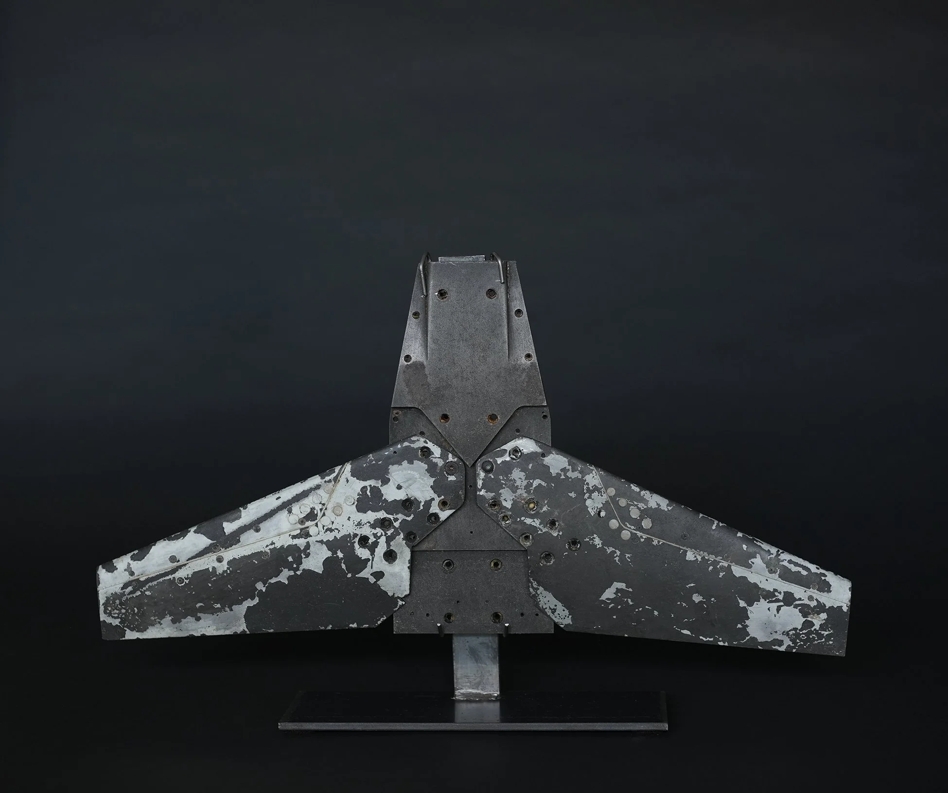 prototype wings 4.jpg