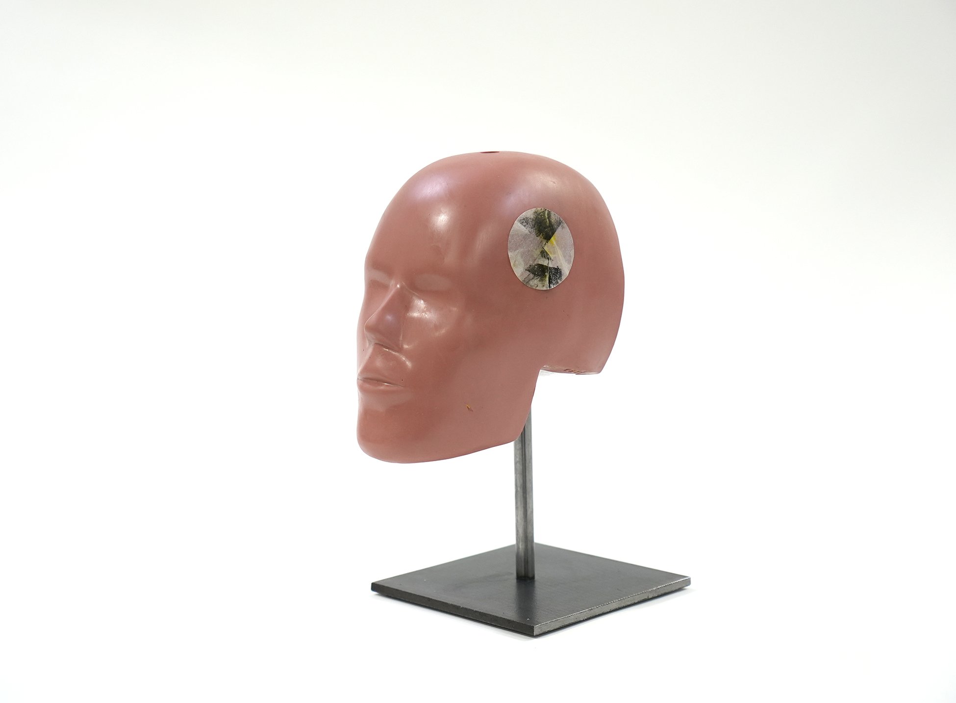 crash test maniking adult 01.jpg
