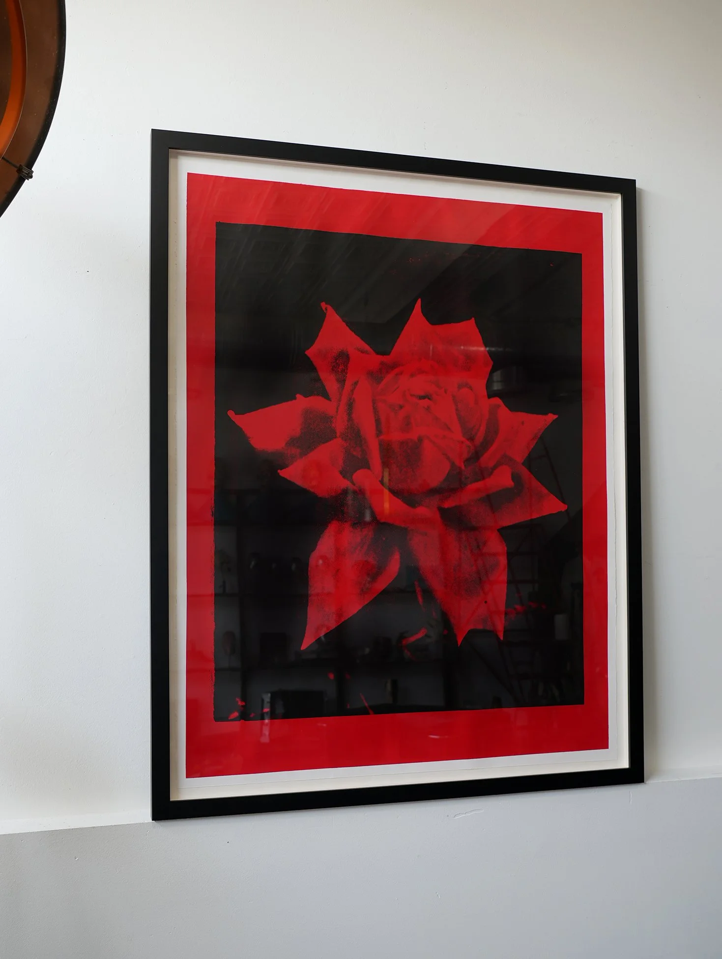 red rose 03.jpg