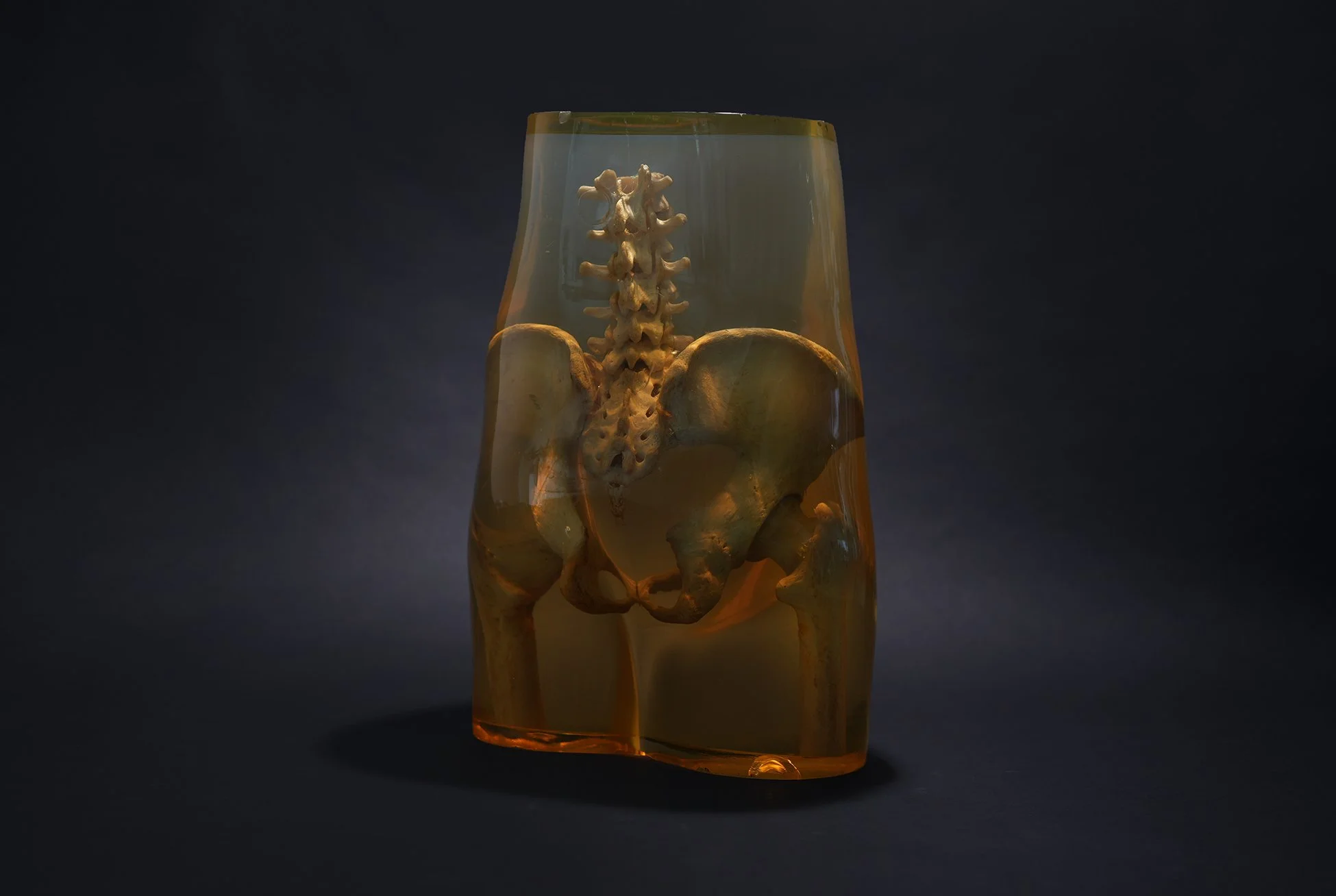 CB phantom 08jpg.jpg