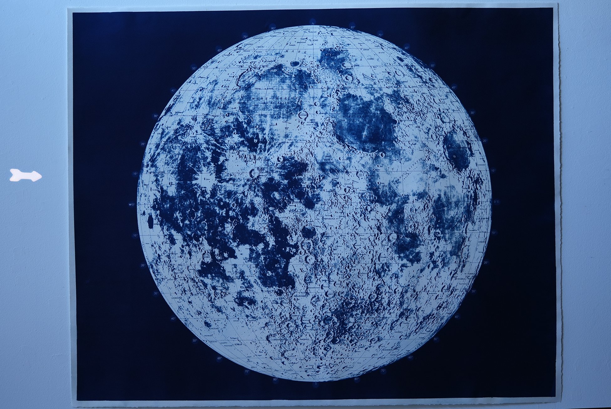 vintage pointer 08.jpg