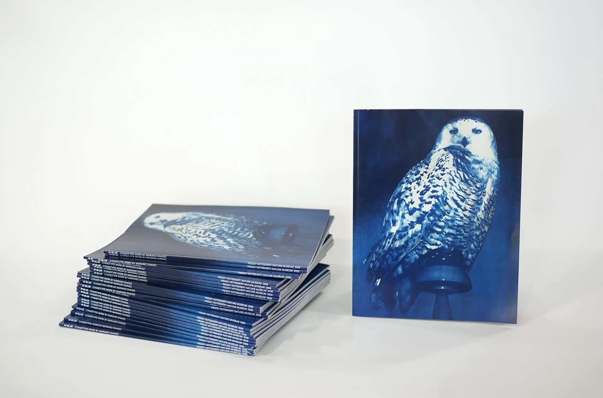 'In Blue'  Mariano Chavez Cyanotypes Catalog Peggy Notebaert Nature Museum