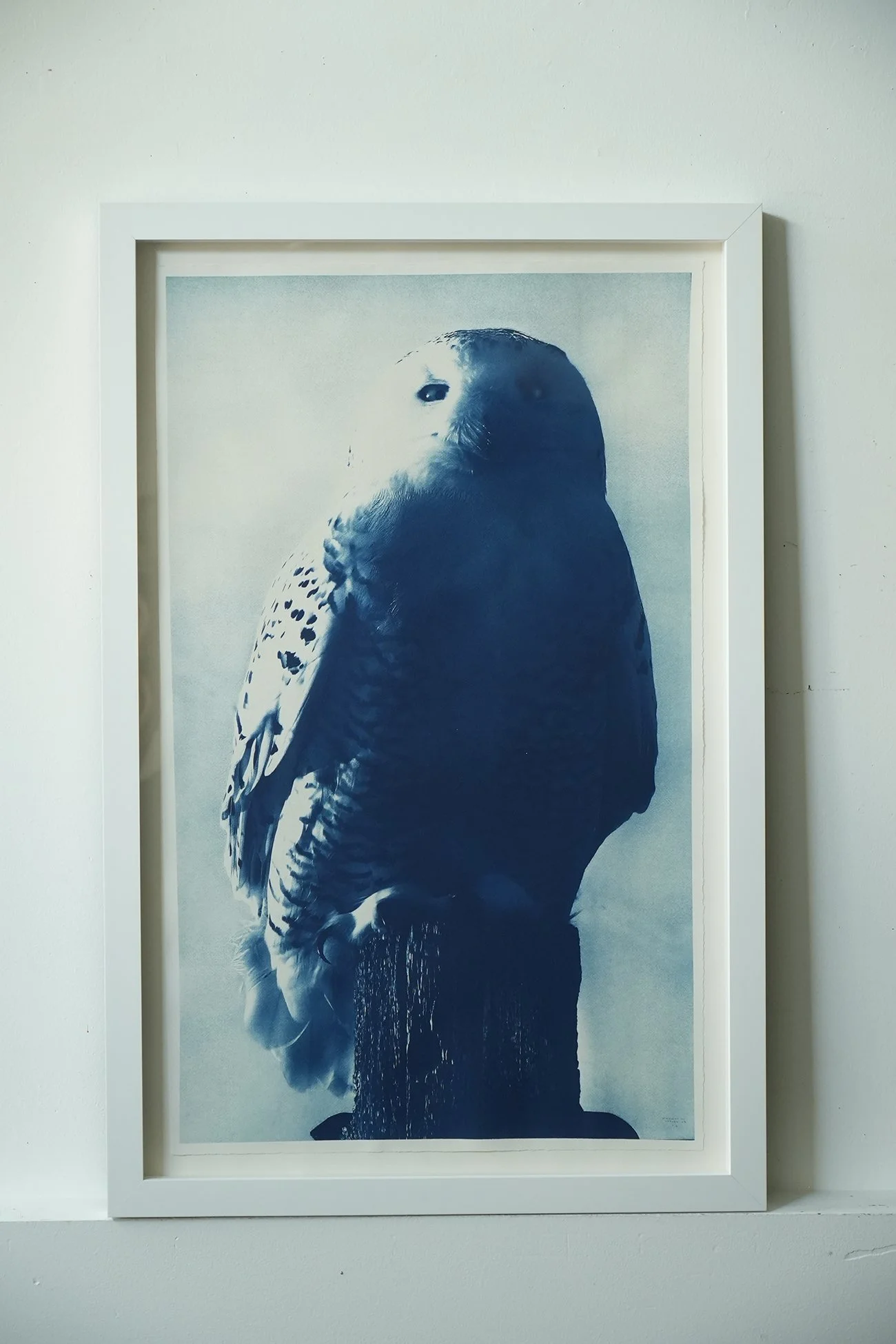 Framed Snowy Owl Perched on Log on Watercolor Paper 27