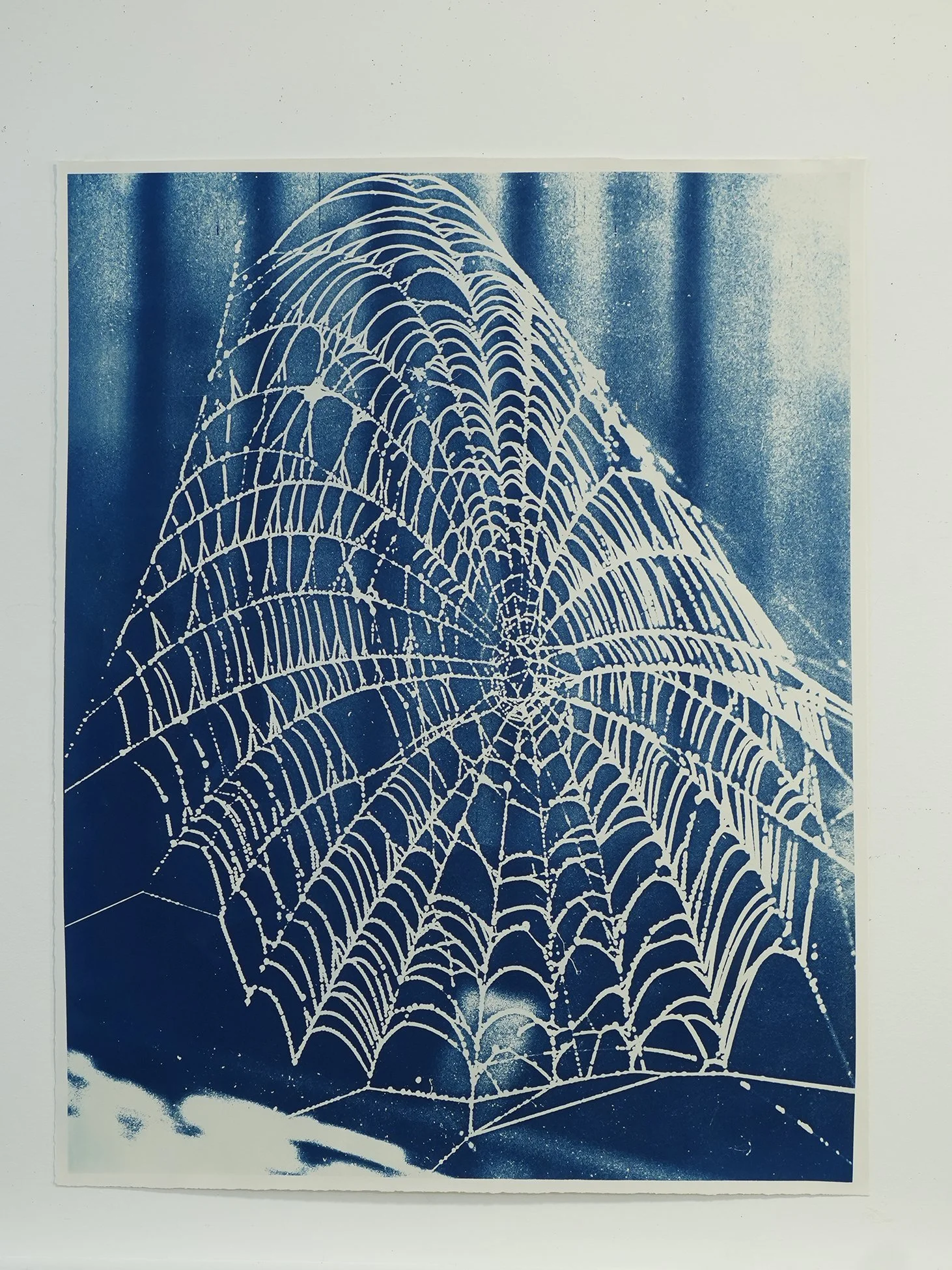 vert web 02.jpg