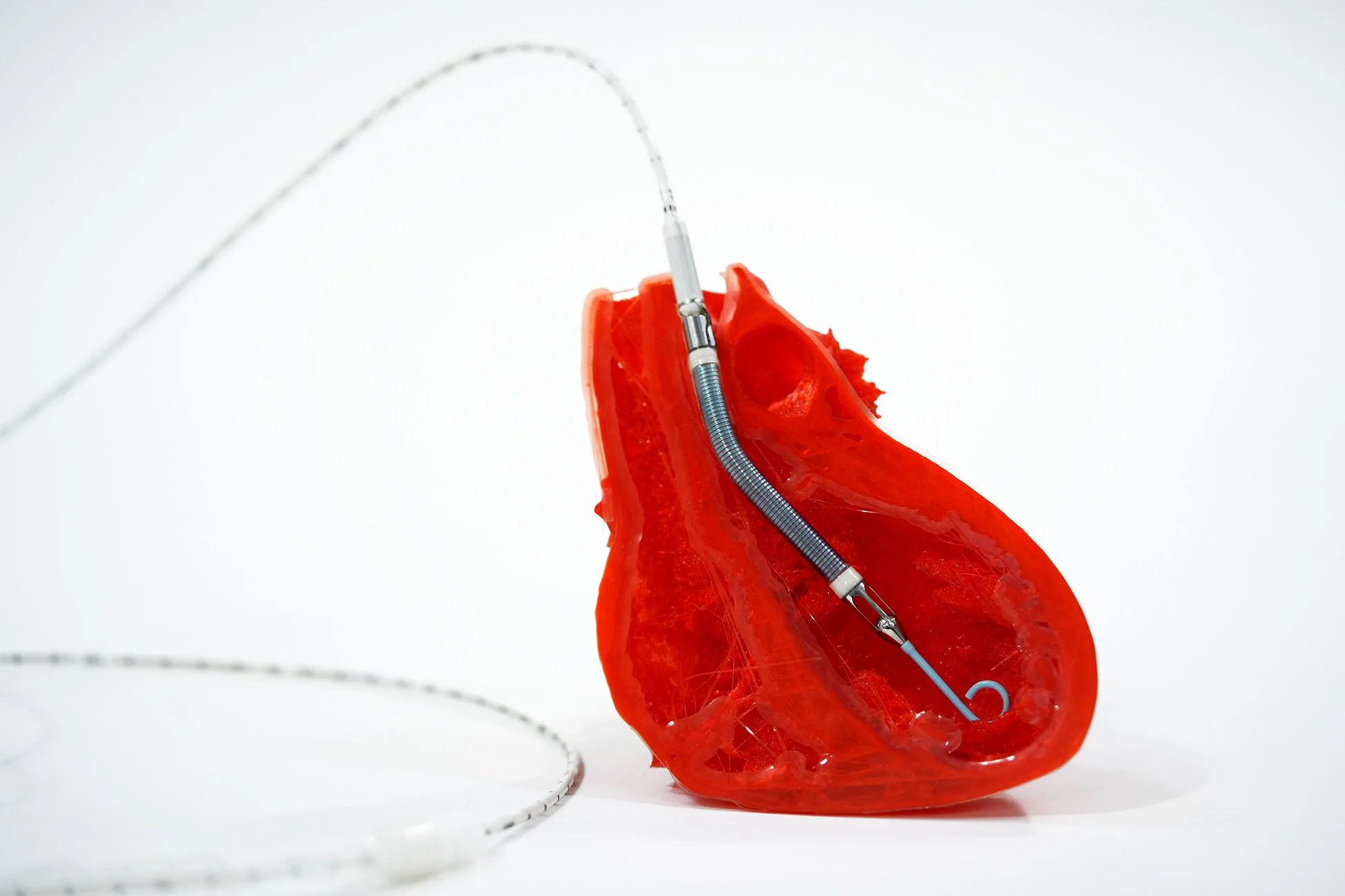 heart and impella 02.jpg