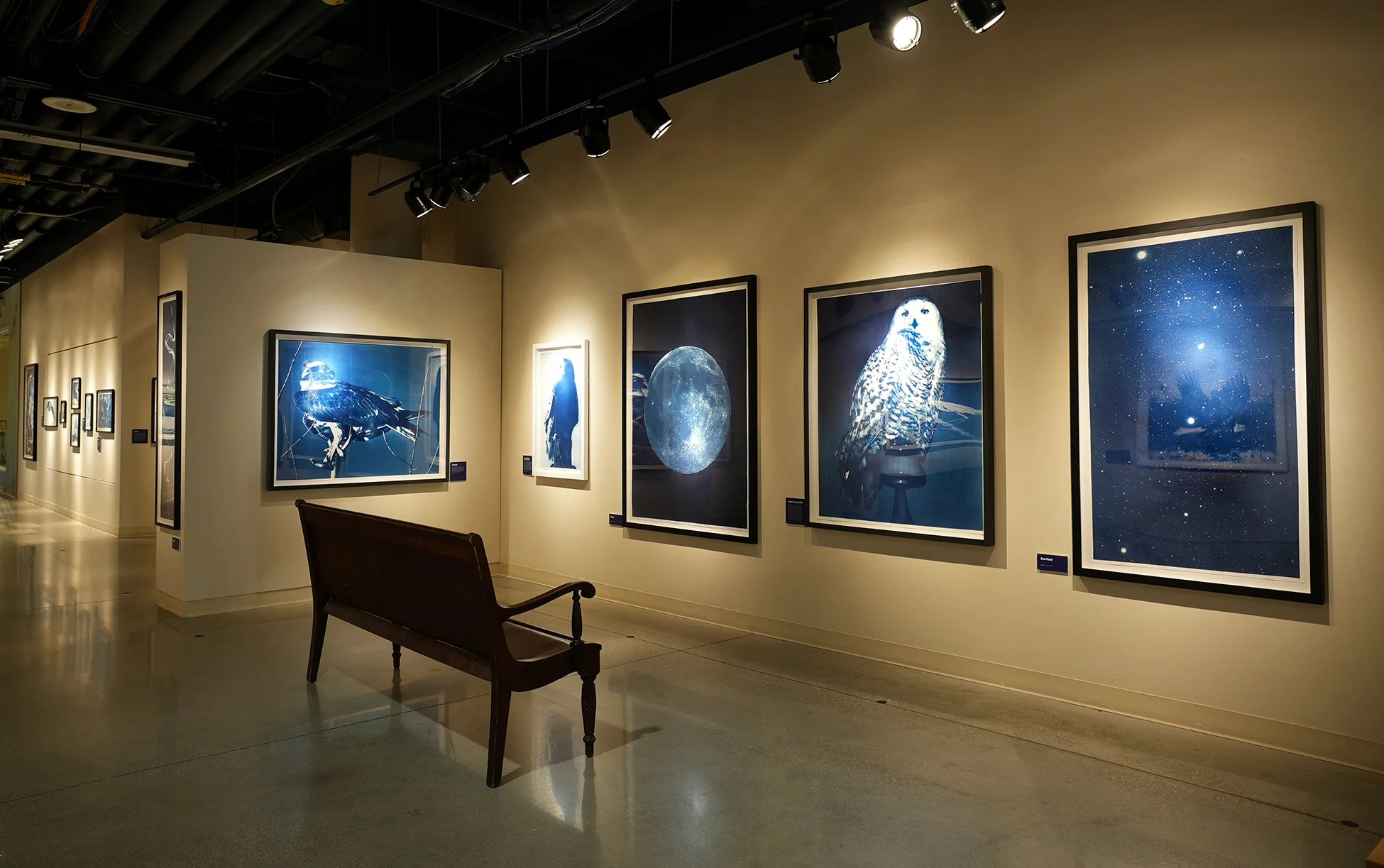 nature museum post 0.jpg