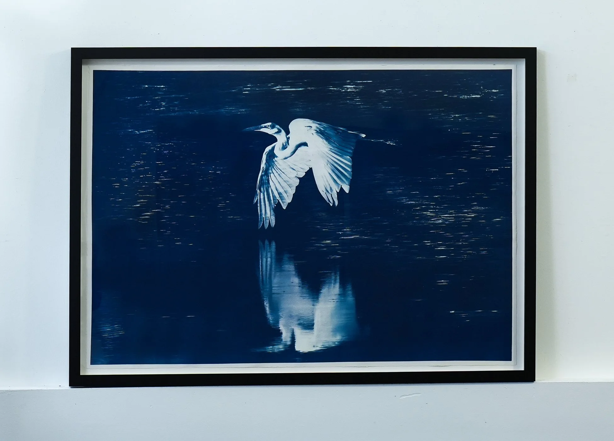 Large Framed Egret Cyanotype 44.5
