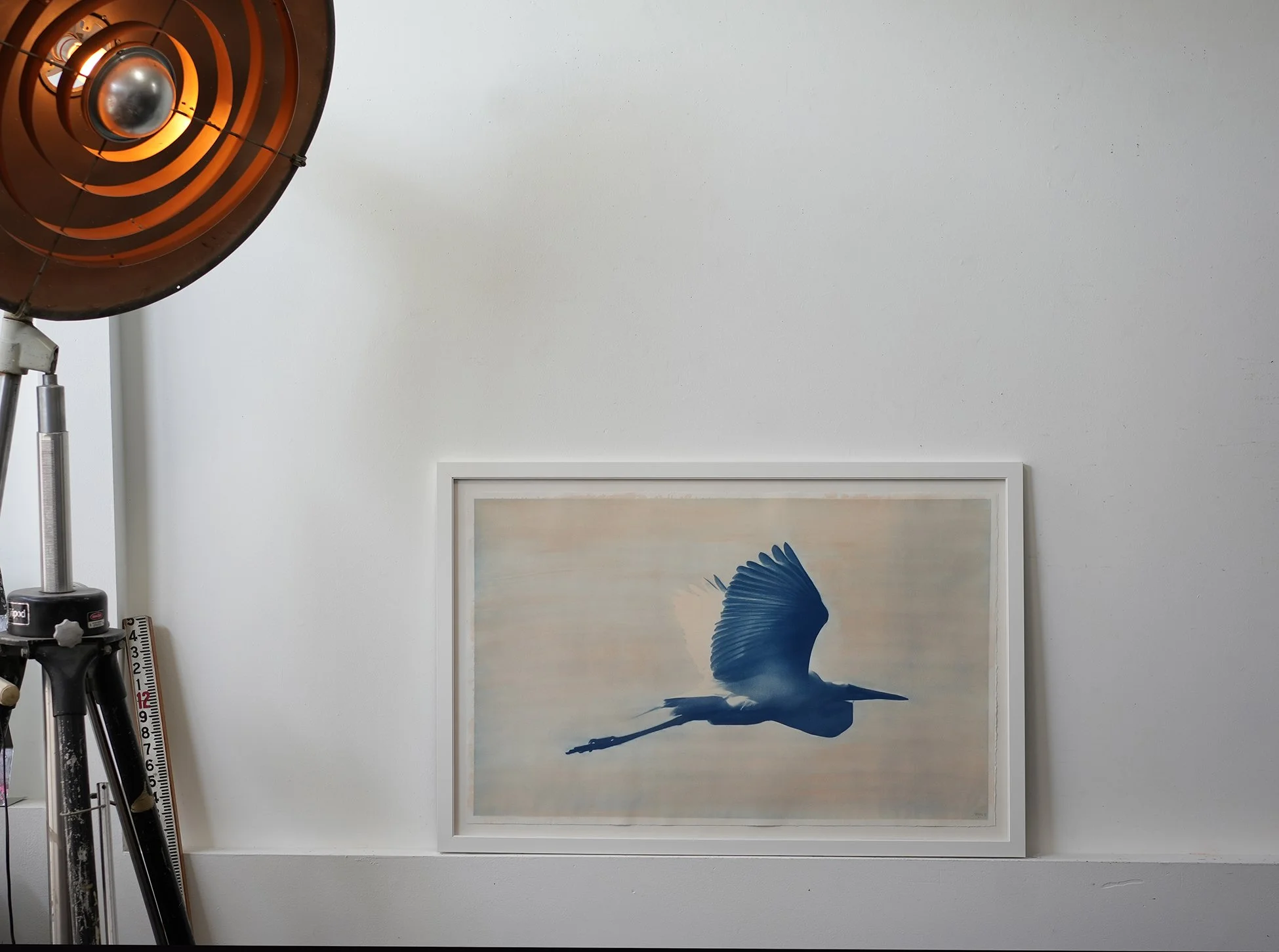 great egret 01.jpg