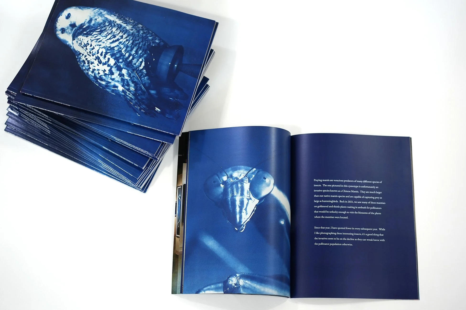 catalog 02.jpg