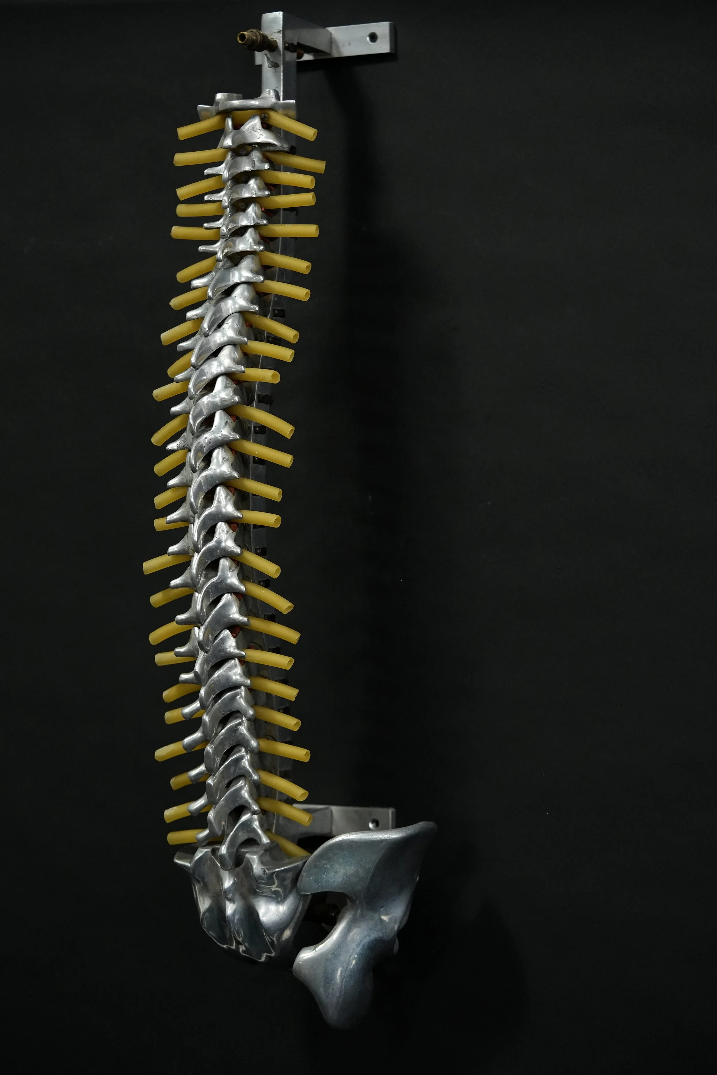 fleet spine 03.jpg