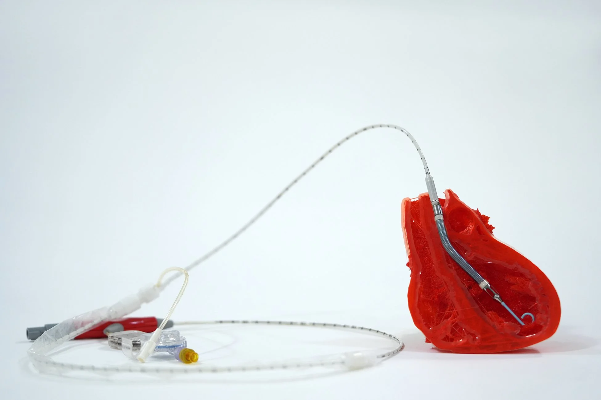 heart and impella 01.jpg