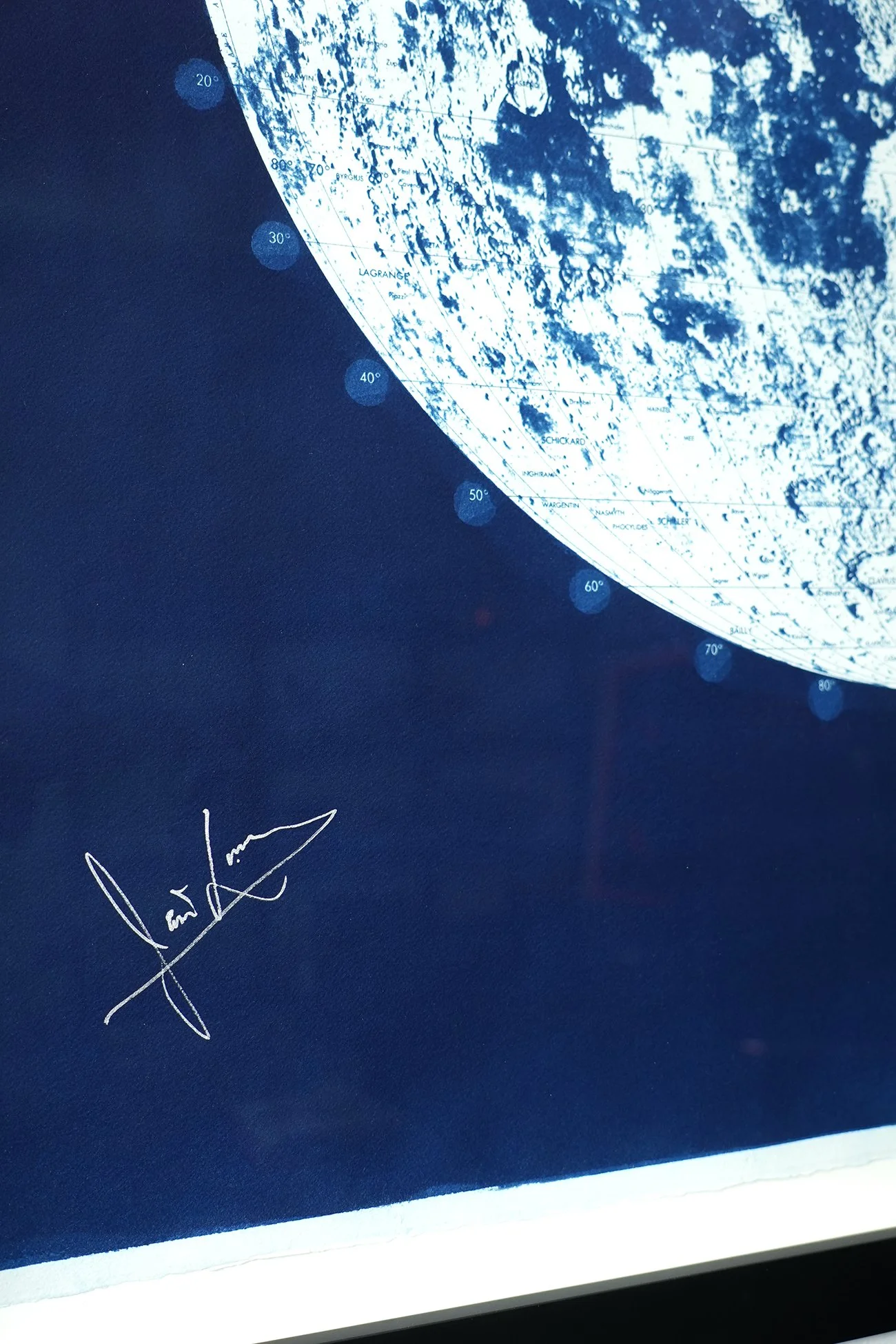 Agent Gallery Lovell 06.jpg