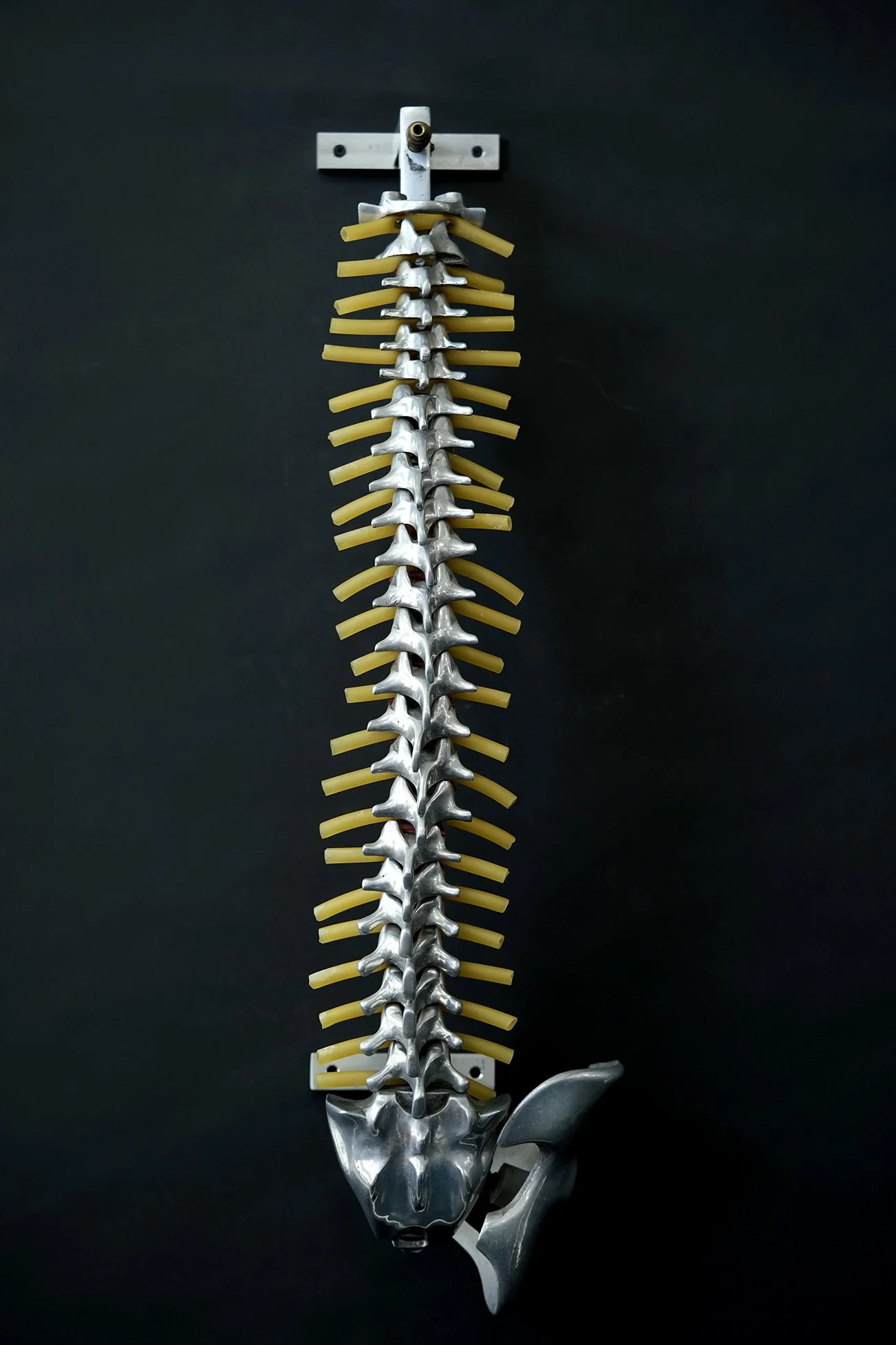 fleet spine 04.jpg