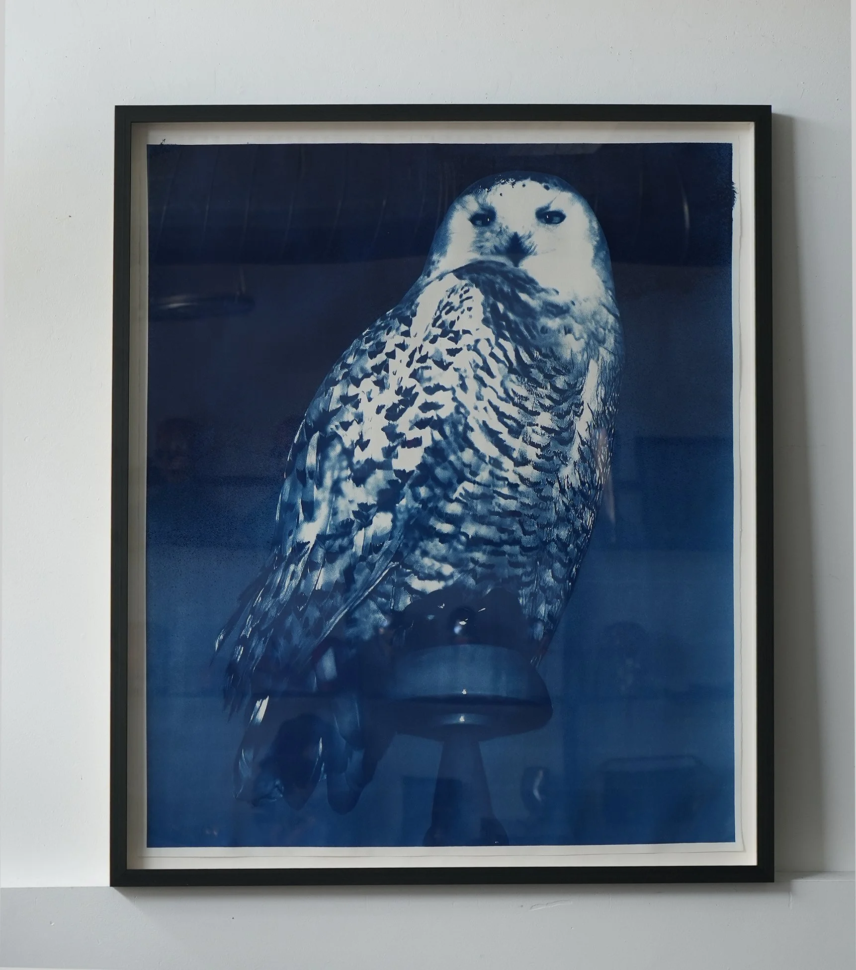 framed owl 0.jpg