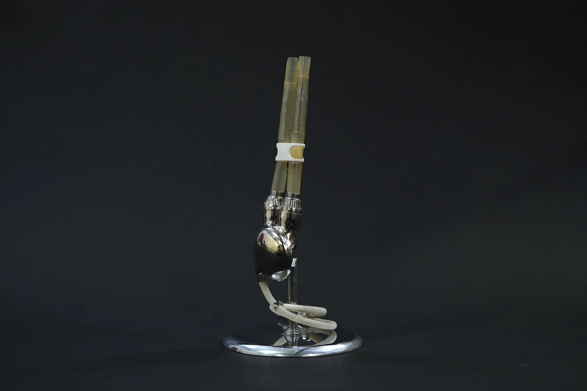 titanium heart 05.jpg