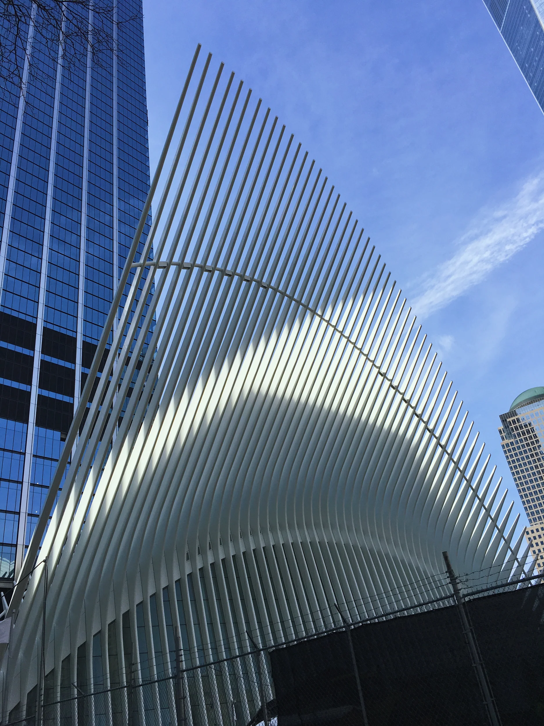 World Trade Center Transportation Hub