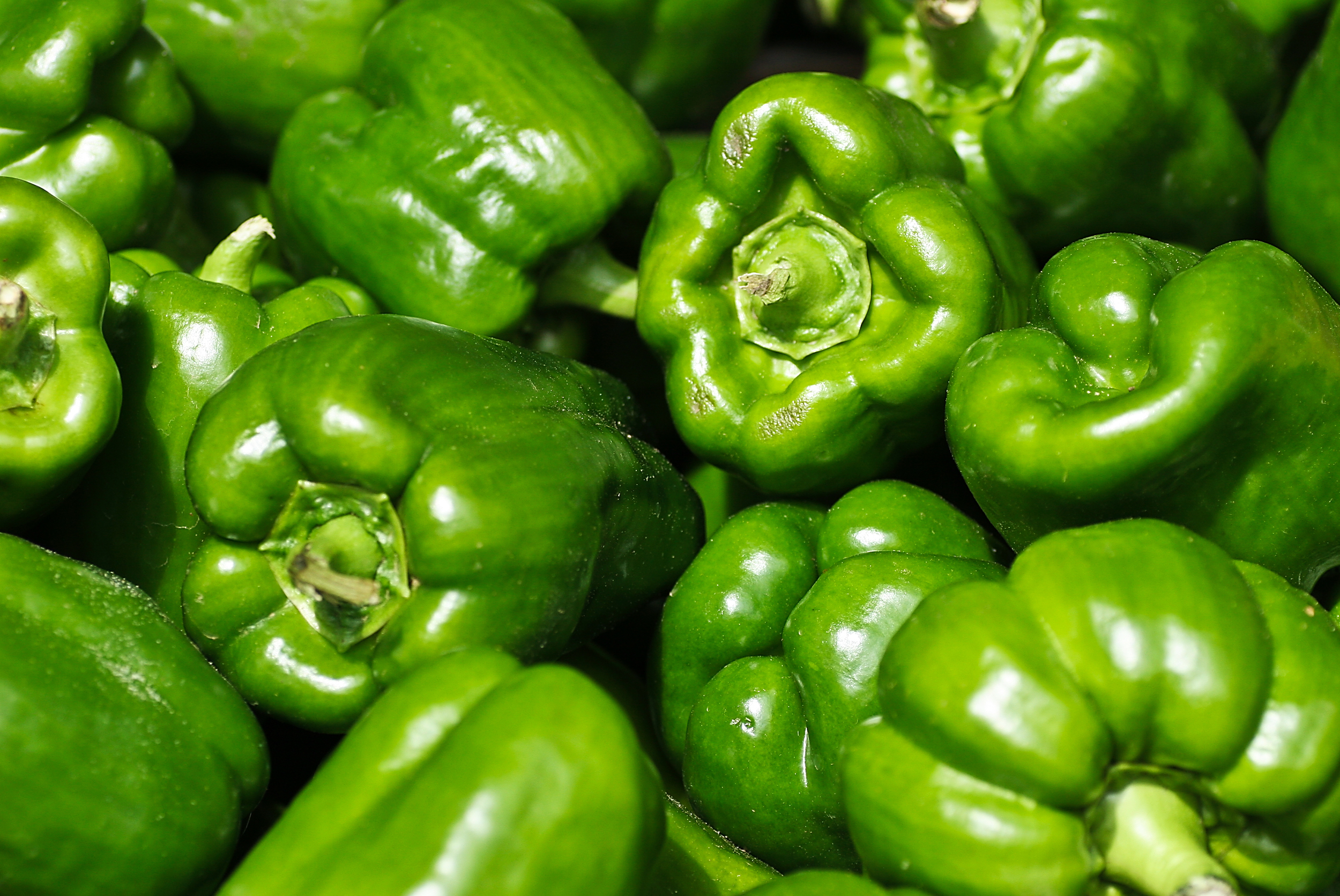 Bell Peppers, Boston Vegetable Stand