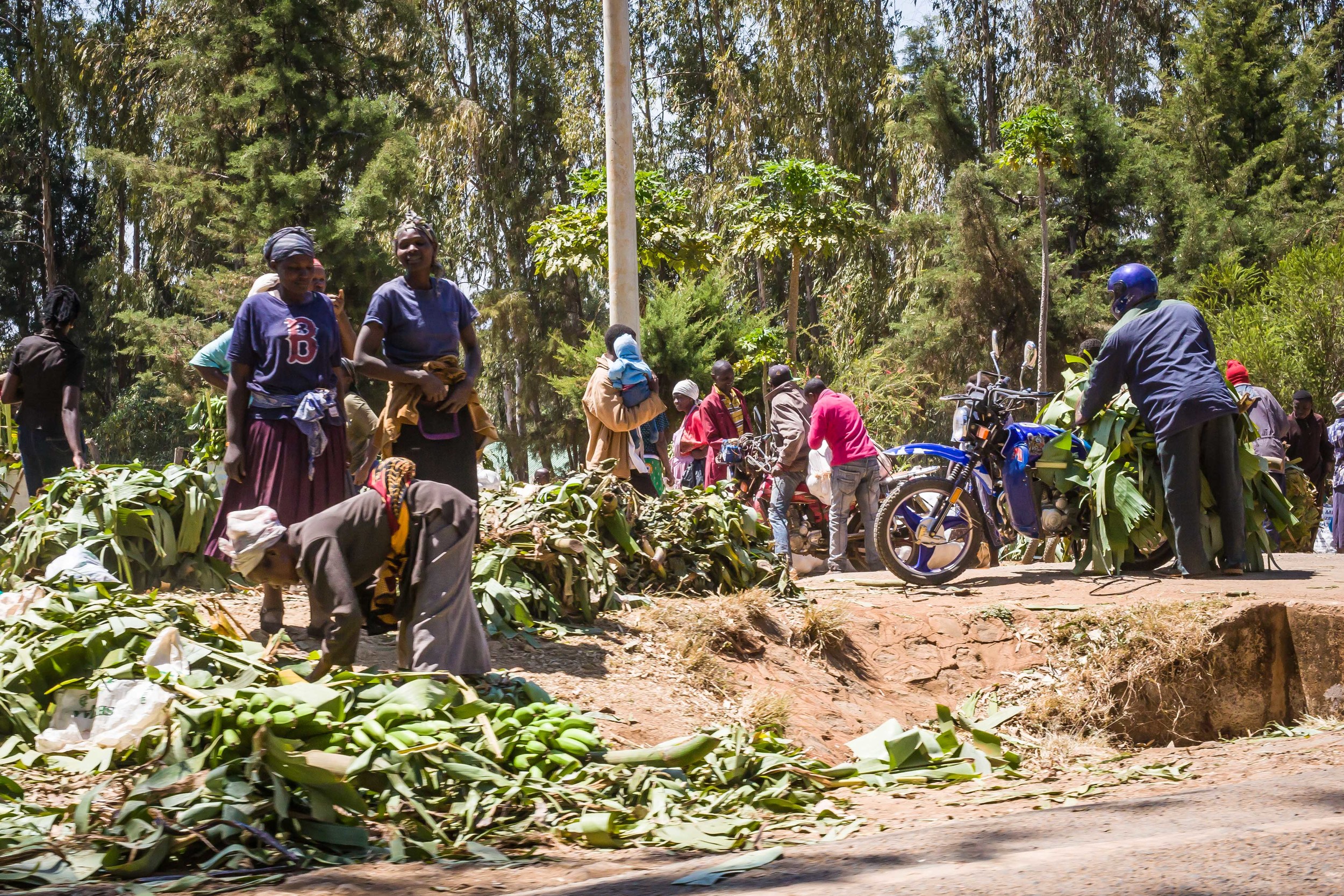 Banana Market, On the Road to Nairobi, Kenya