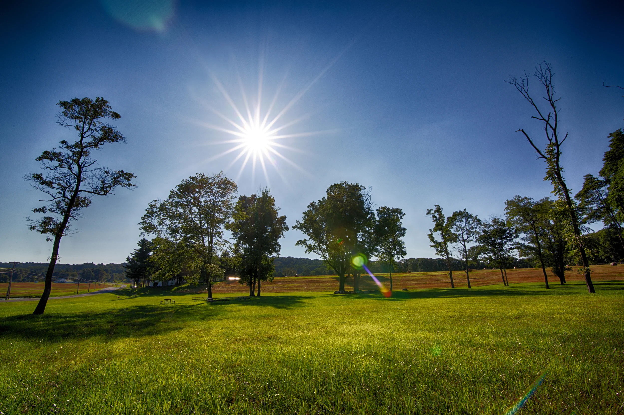 © 2014 Caboose Farm , All rights reserved.