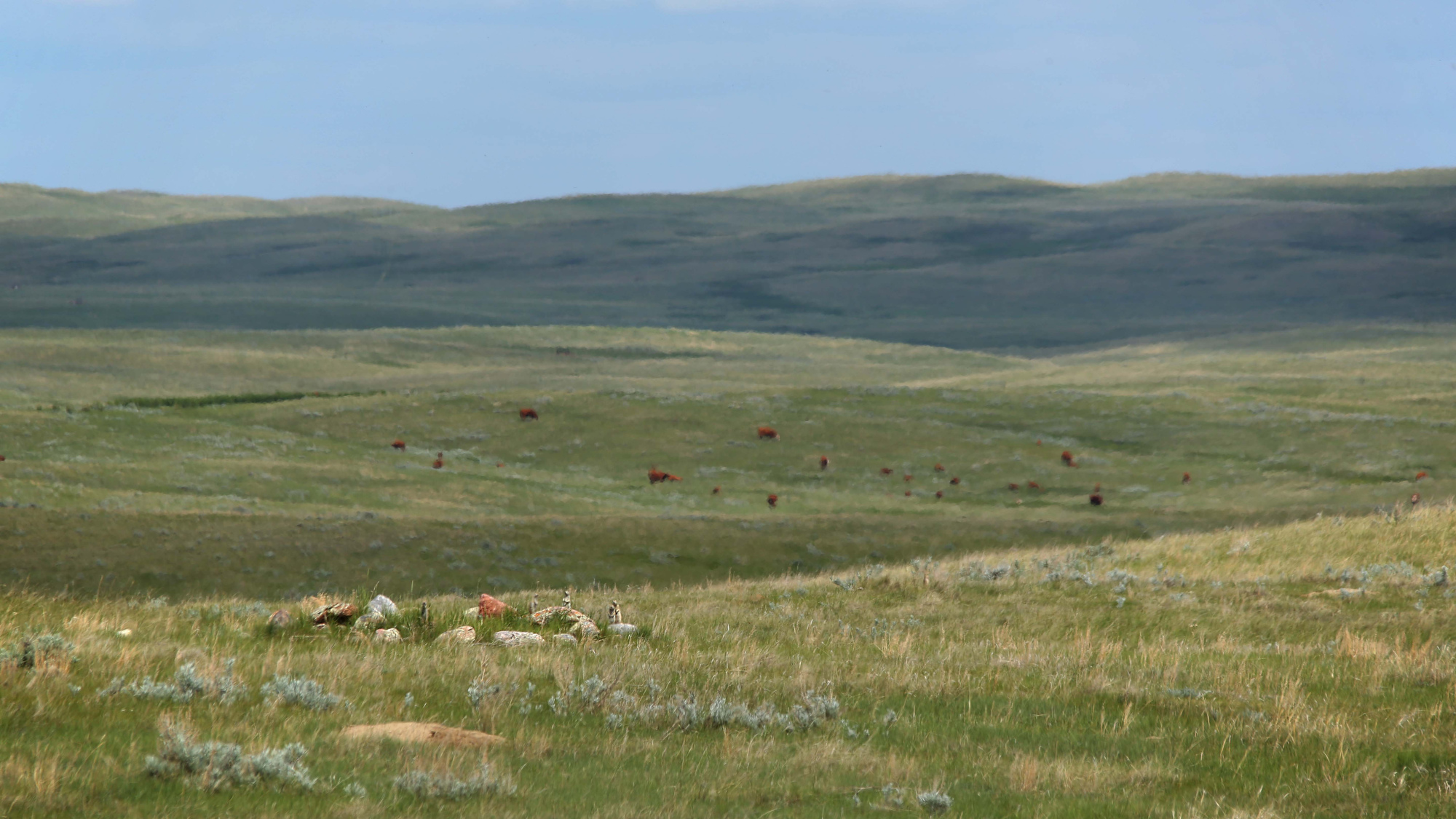 20130613mikeMD022.JPG