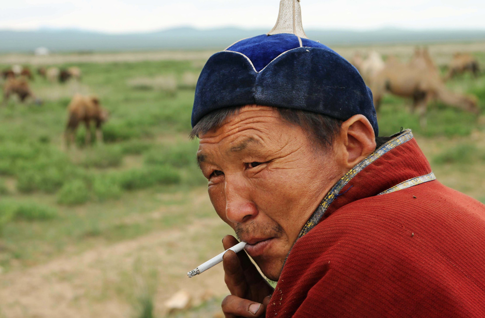 Toroo, a camel herder, pauses for a break along the highway west of Ulaanbataar, Mongolia