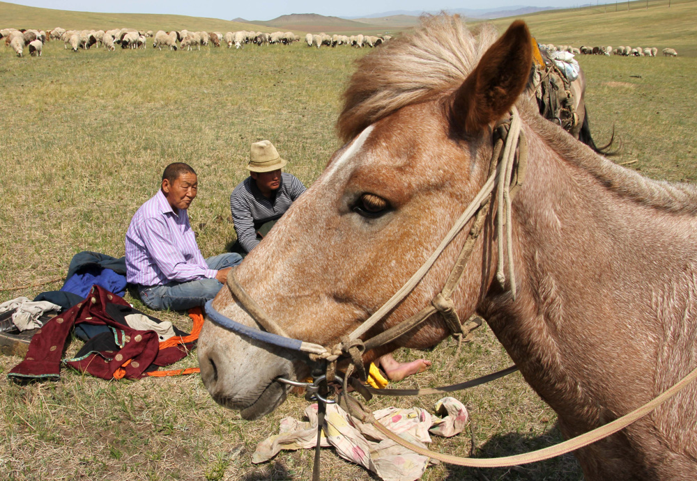 Lunch time, Mongolia