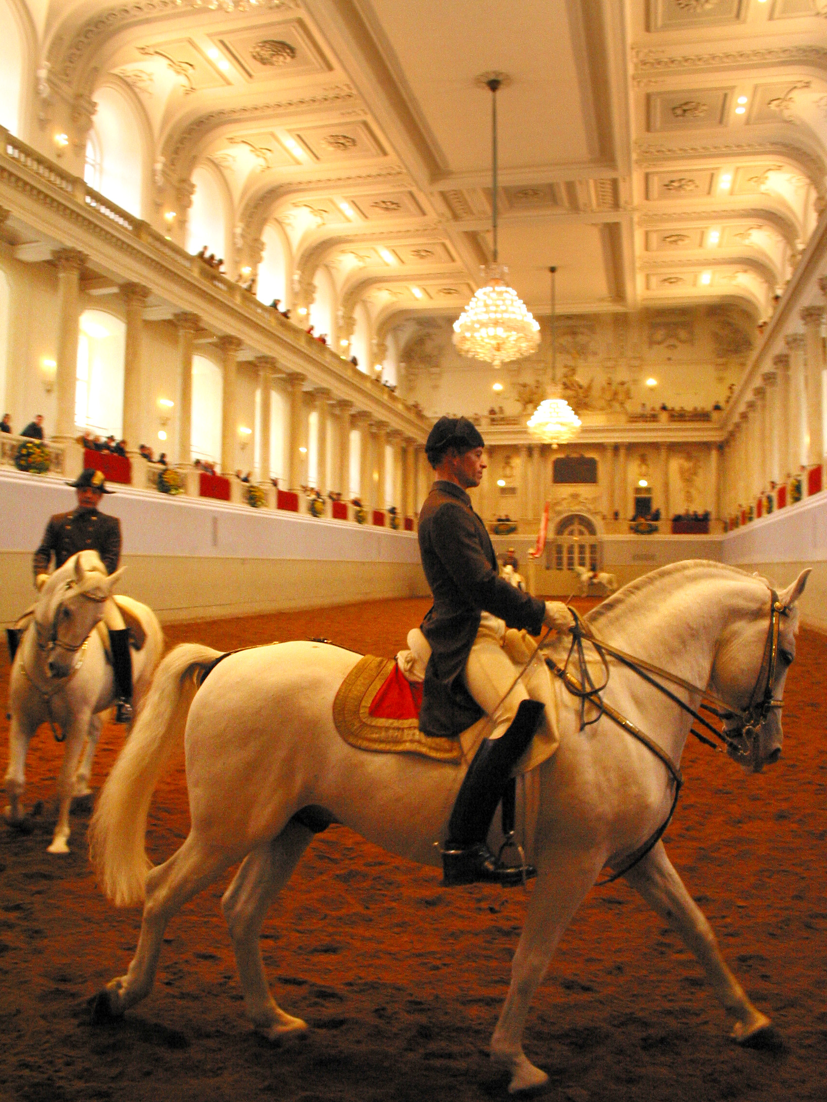 Royal Spanish Riding Academy, Vienna