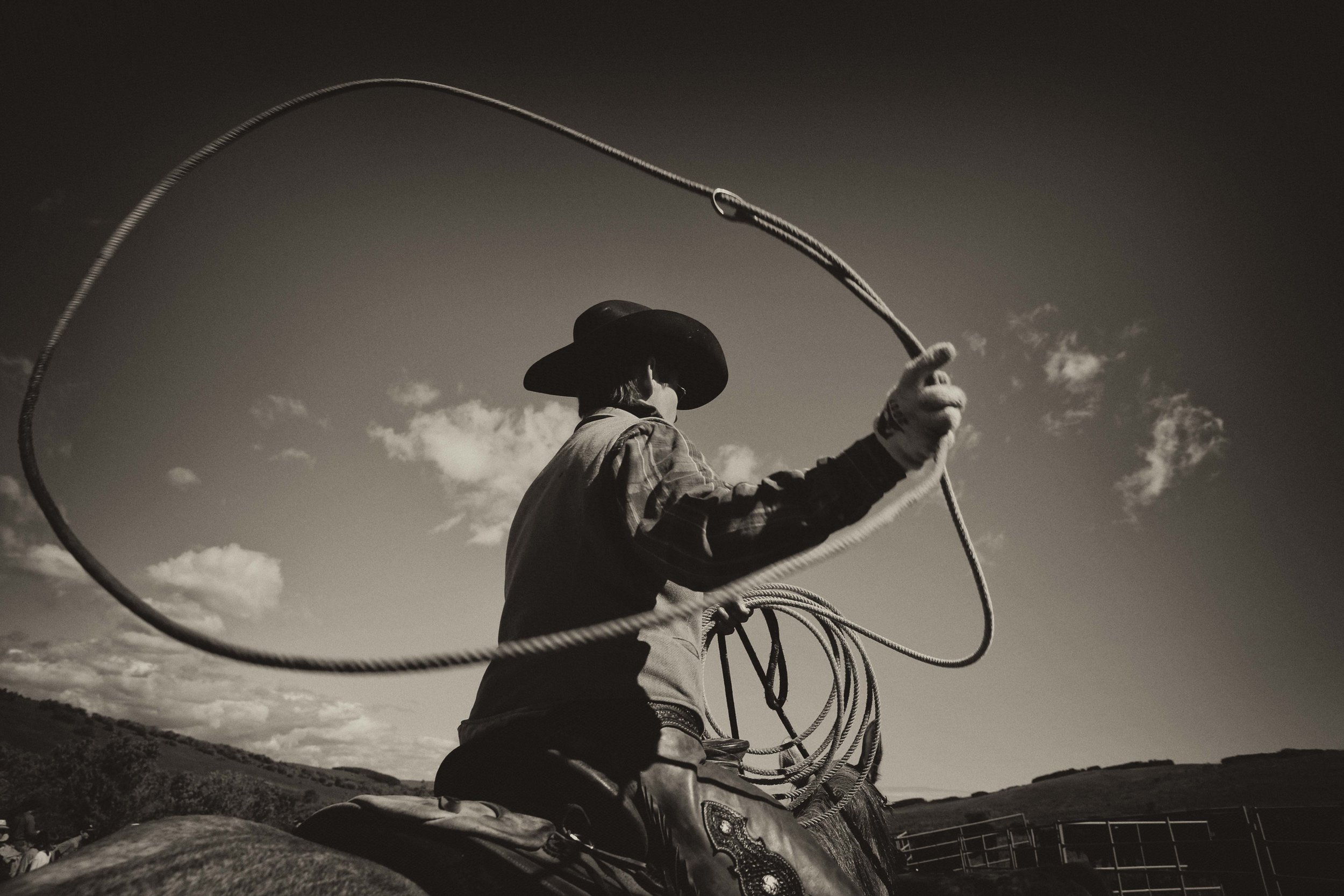 Branding time, Porcupine Hills, 2013