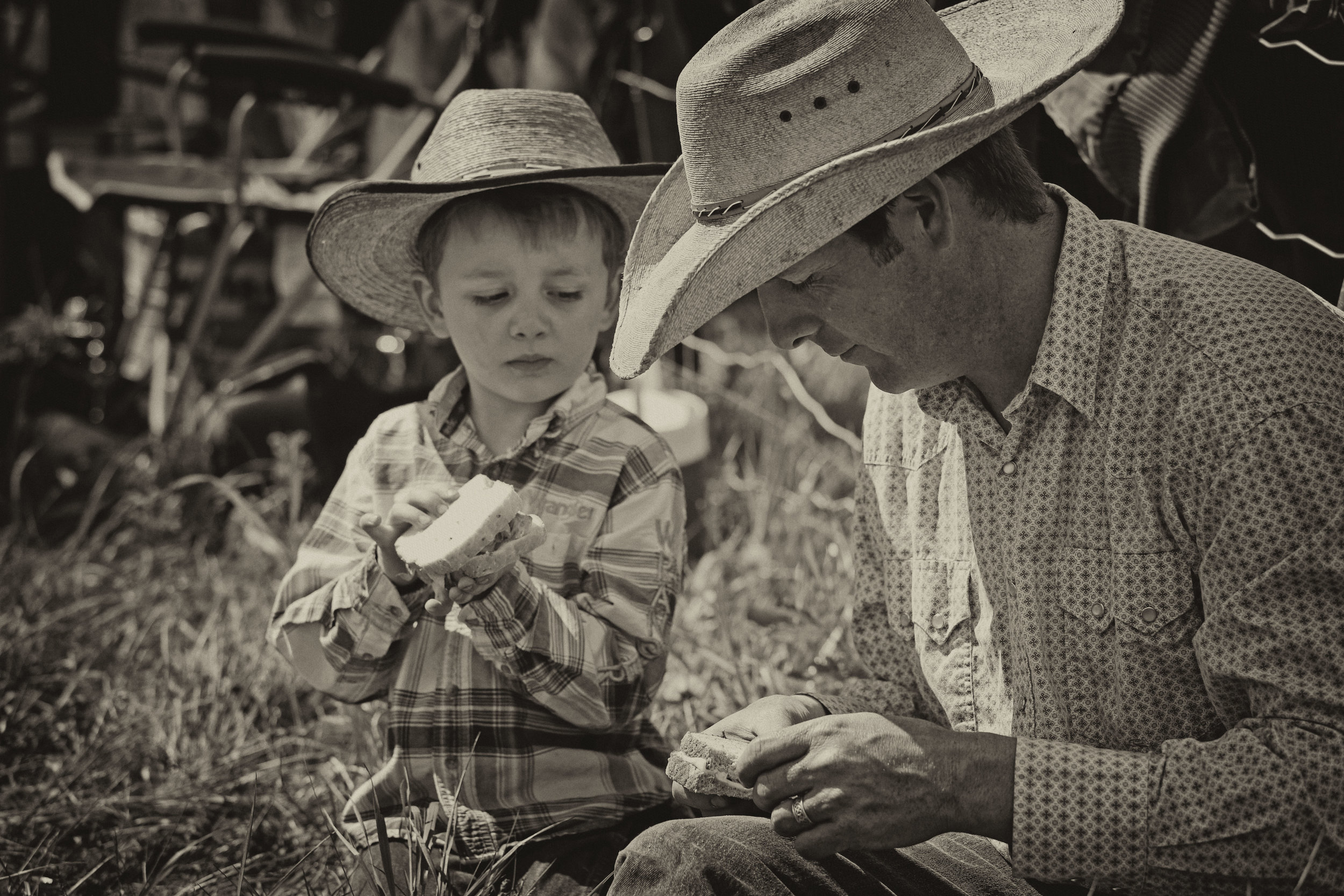 Branding time, Porcupine Hills, 2013