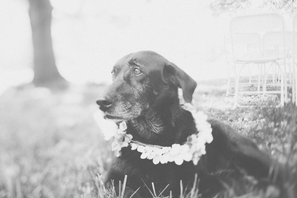 CovingtonTNWeddingPhotographer_0005.jpg