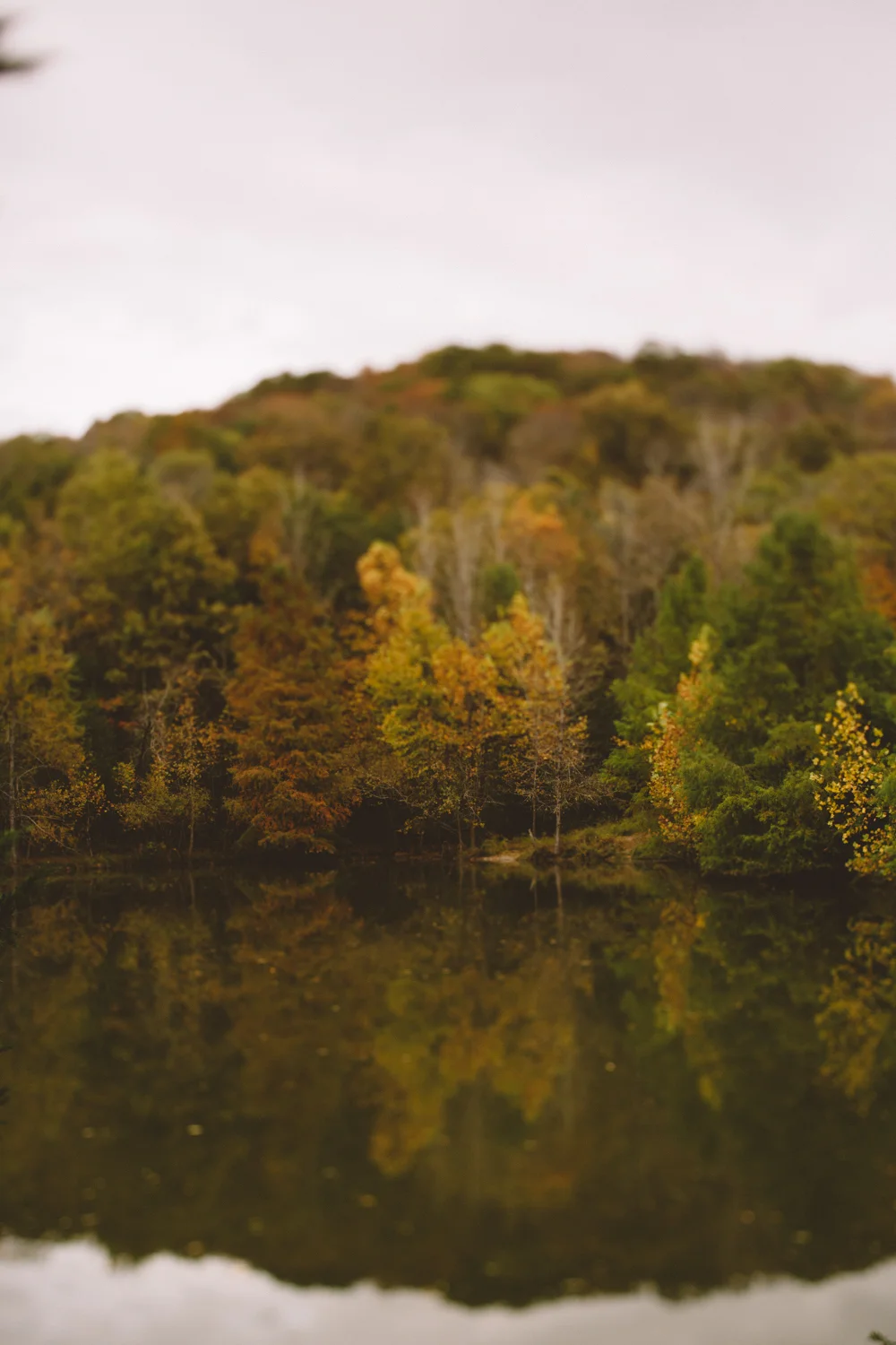 Cedarwood_Wedding_Venue_in_Fall_Nashville_-1.jpg