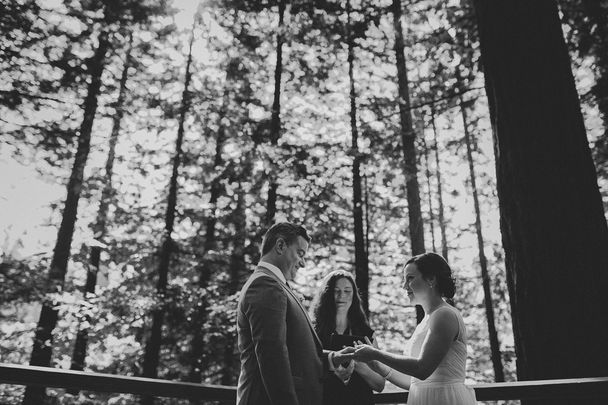portland-redwoods-elopement-photographs--4.jpg