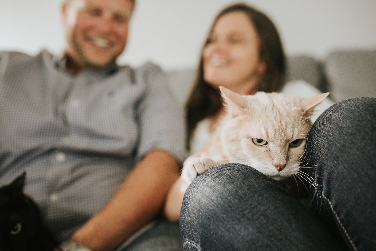 engagement-photos-with-pets.jpg