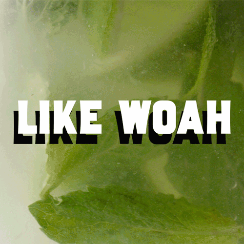 like-woah-close-up-ig.gif