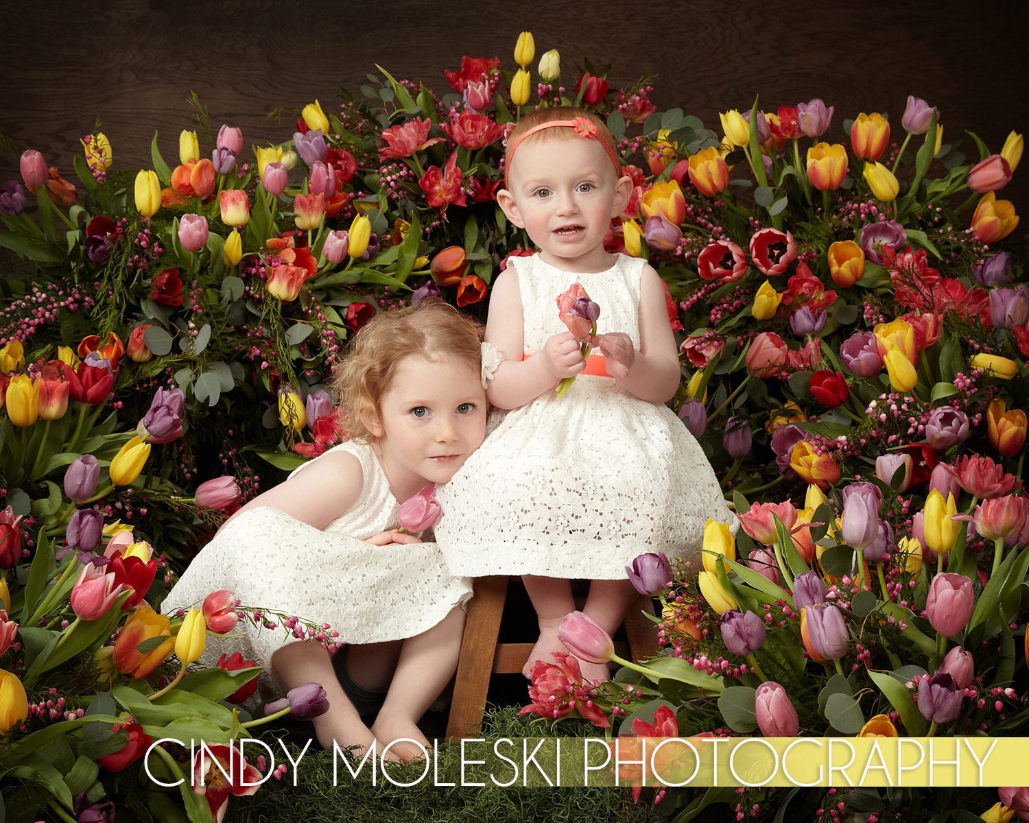 professional-garden-baby-photographer-saskatoon-cindy-moleski-28504-9051FB.jpg