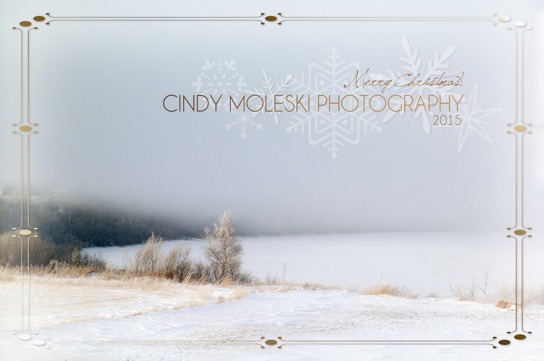 2015 CHRISTMAS CARD-cindy-moleski-professional-photographer-saskatoon-saskatchewan-winter-river-fog-hoar frost.jpg