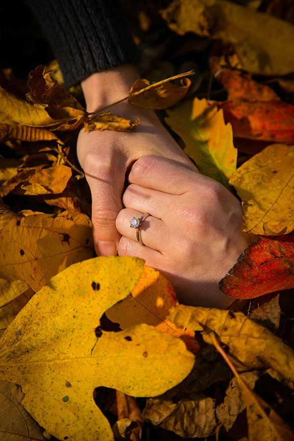 Engagement Photos
