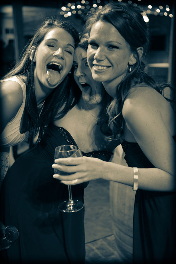 Bluemont Vineyard Wedding Reception Photo