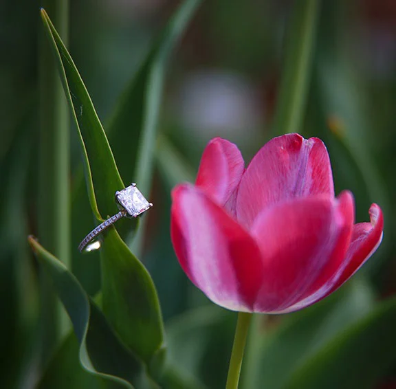 Photographer Engagements Photos DC | VA | MD