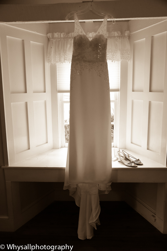 Briar Patch Wedding Dress