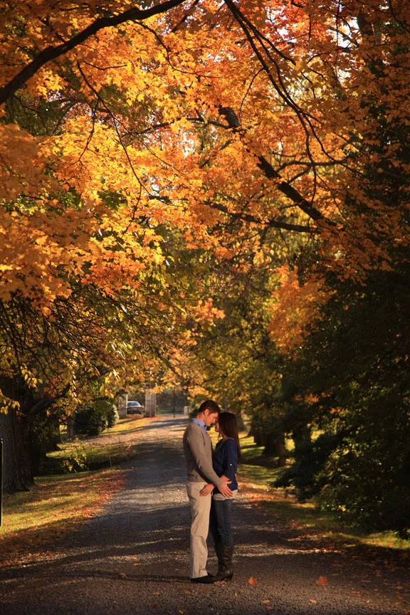 franklinparkengagement220111106_0127.jpg