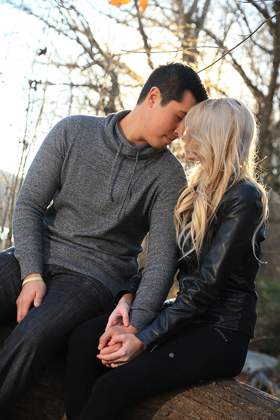 Photographer Engagements Photos DC | VA | MD